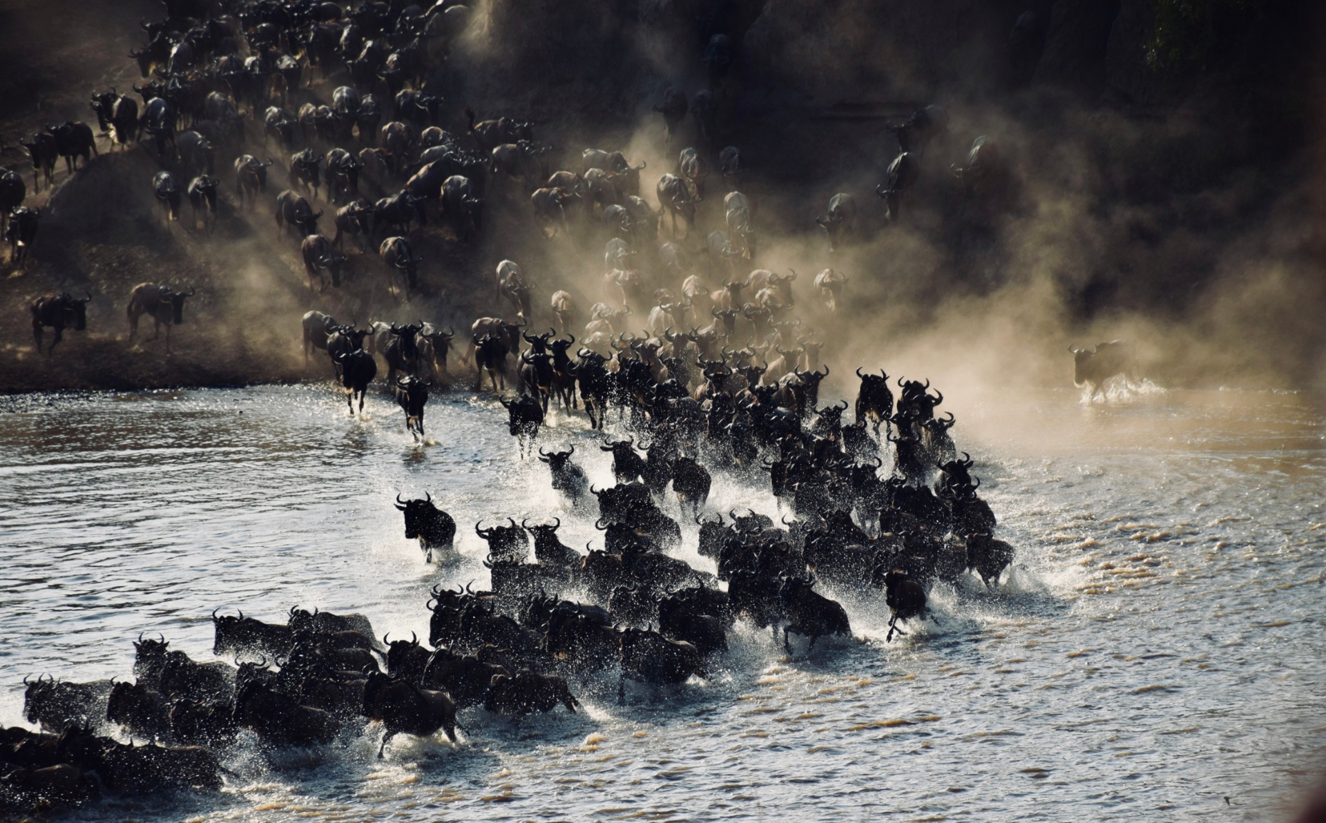 The Rush