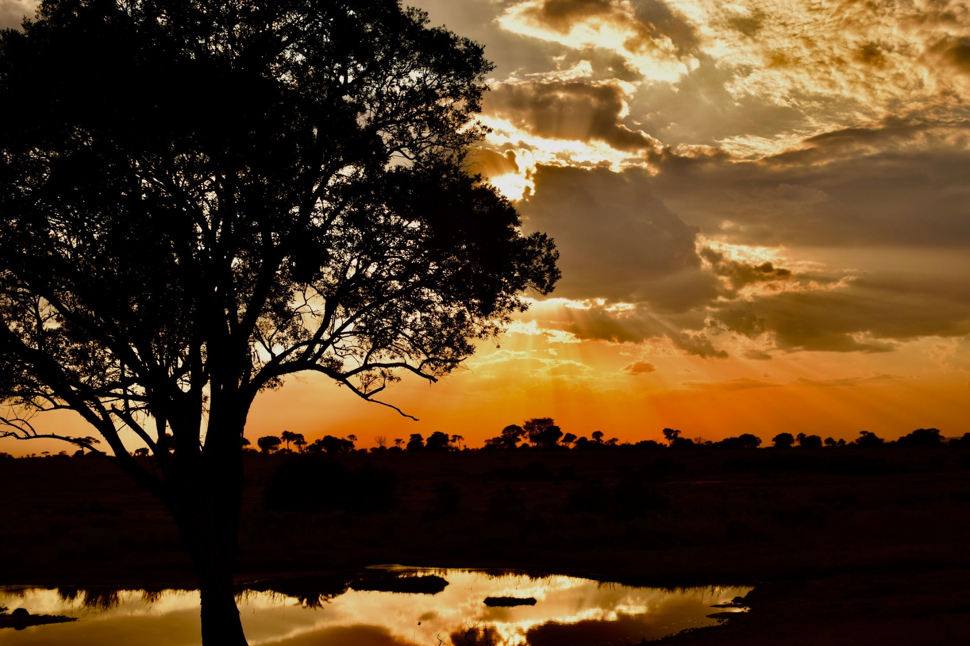 Kopje Sunset