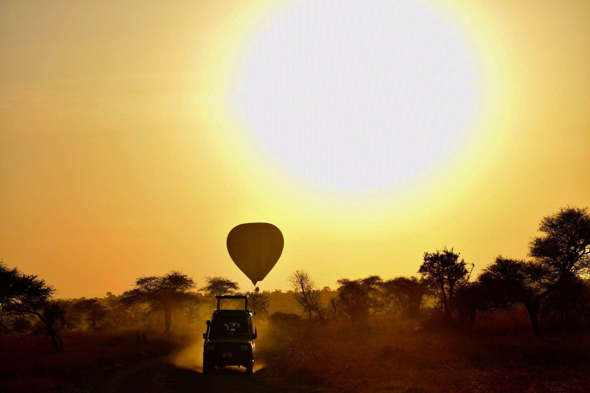 Sunrise Drive