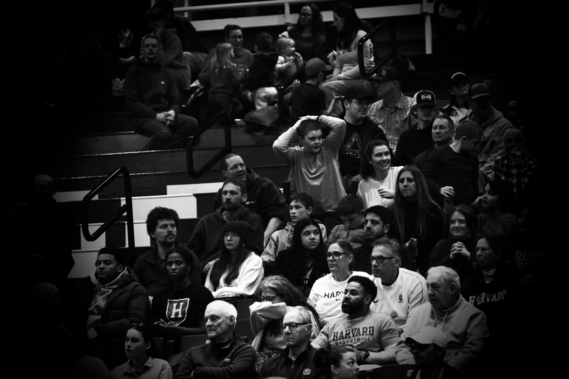 The Crowd